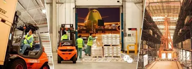 Freight Forwarding Transportation Costs and Cargo Handling Services: Key Terminology and Practices